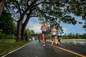 BIB: 
                            <button type="button" onclick="openModal(26537424)" class="btn btn-primary btn-sm float-right btn-popup" data-toggle="modal" data-target=".modal-high-quality">
                        <i class="fas fa-shopping-cart"></i> Add to Cart
                    </button>
                                            <button type="button" onclick="isThisMe(26537424, true)" class="btn btn-success btn-sm float-right btn-popup btn-isme hidden" data-toggle="tooltip" data-placement="bottom" title="นี่คือรูปของคุณใช่ไหม คลิกที่นี่เพื่อเอาเข้าอัลบั้ม">
                        <i class="fas fa-plus"></i> Add to album
                    </button>
                    <button type="button" onclick="isThisMe(26537424, false)" class="btn btn-warning btn-sm float-right btn-popup btn-isnotme hidden">
                        <i class="fas fa-ban"></i> Remove from album
                    </button>